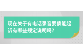 文山文山的要账公司在催收过程中的策略和技巧有哪些？